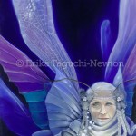Winter Fairy